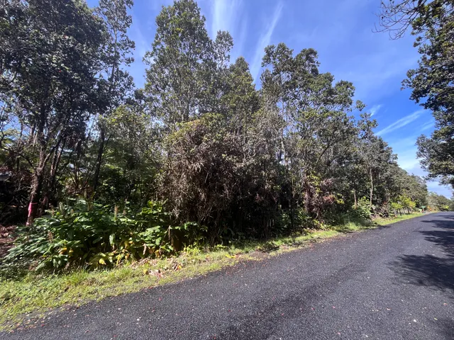 a view of outdoor space and yard