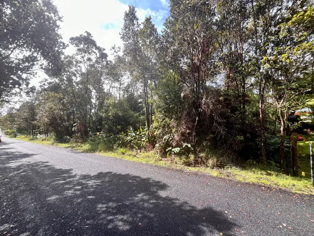 a view of a yard with plants and trees