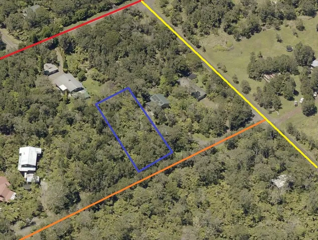 a view of a forest with a stairs