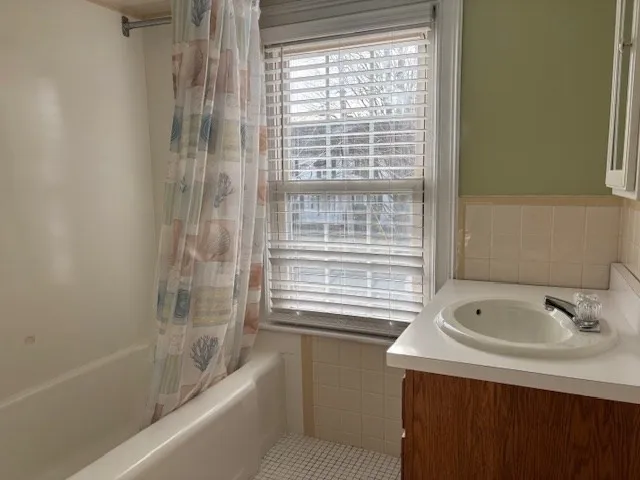 a bathroom with a sink and a bathtub