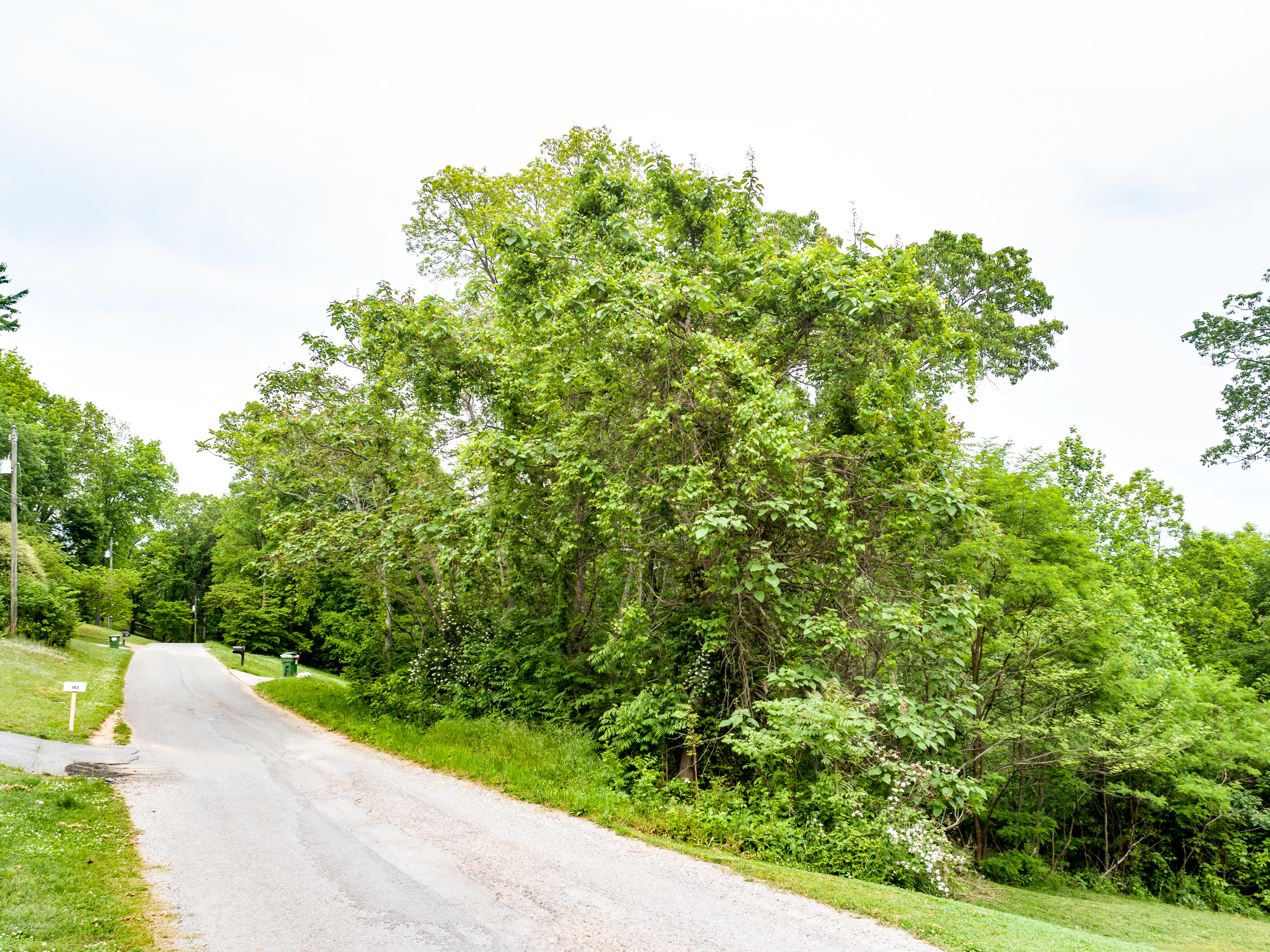 11 & 12 Booker Road Maynardville, TN 37807 - Photo 1 of 25 001210517-3-138BookerRdMaynardvilleTN-SM
