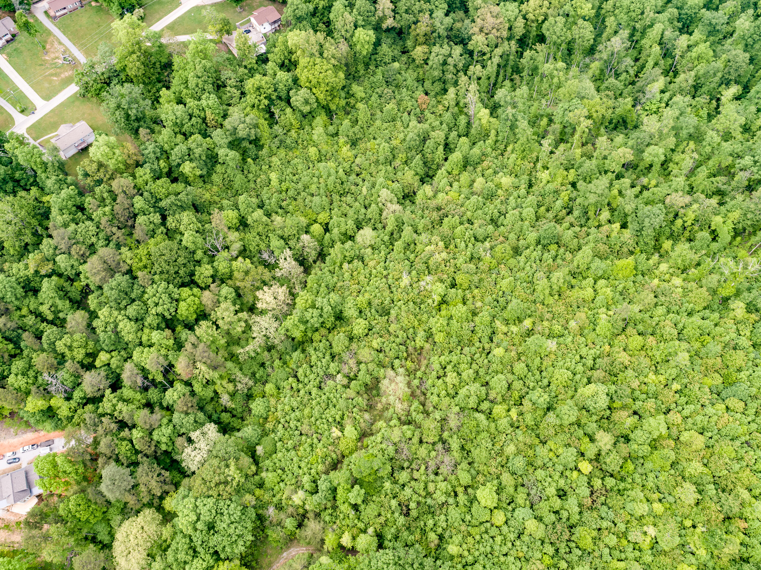 11 & 12 Booker Road Maynardville, TN 37807 - Photo 11 of 25 014210517-3-138BookerRdMaynardvilleTN-SM