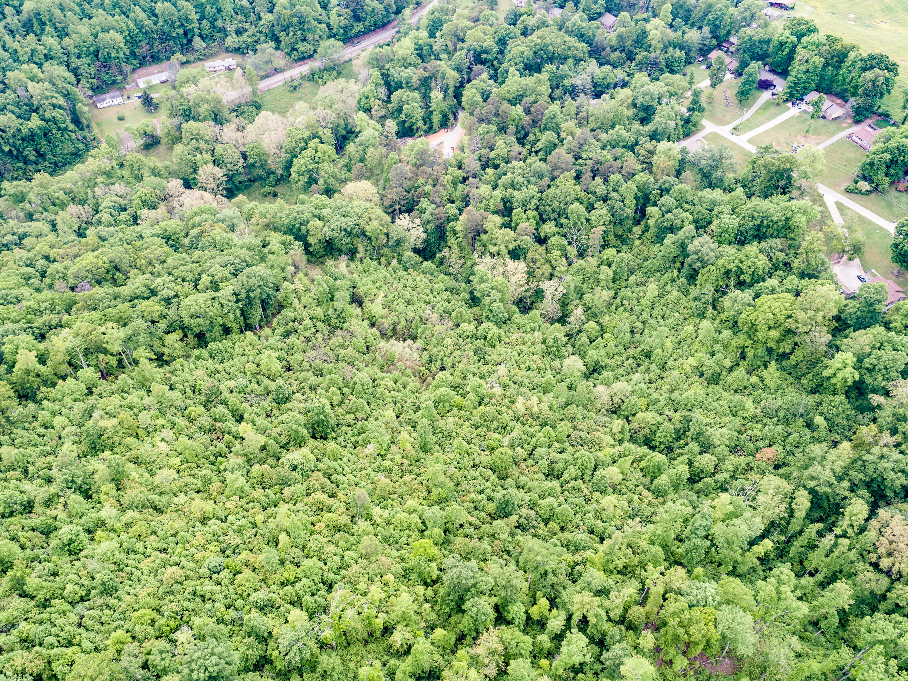 11 & 12 Booker Road Maynardville, TN 37807 - Photo 12 of 25 018210517-3-138BookerRdMaynardvilleTN-SM