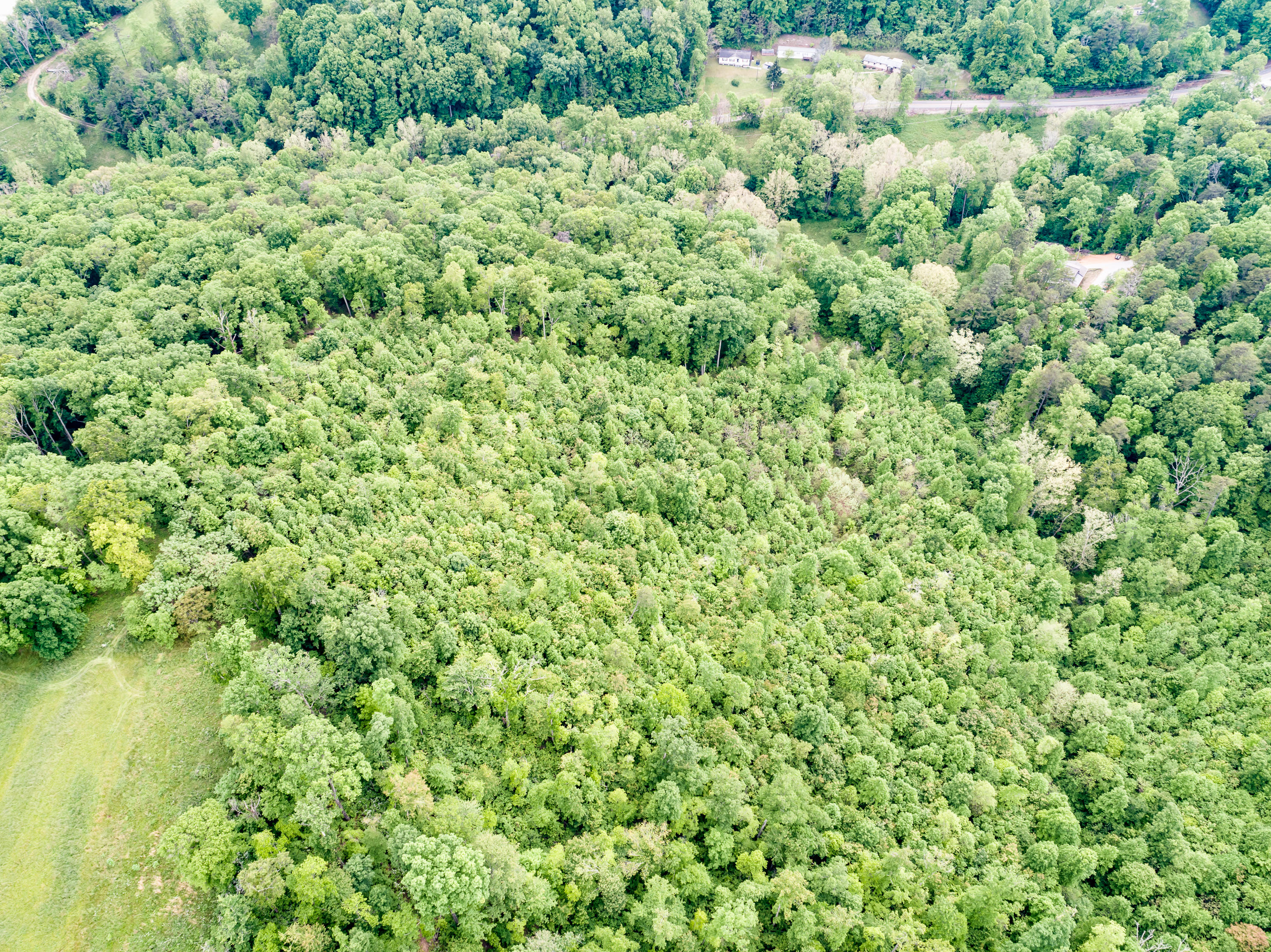 11 & 12 Booker Road Maynardville, TN 37807 - Photo 13 of 25 019210517-3-138BookerRdMaynardvilleTN-SM