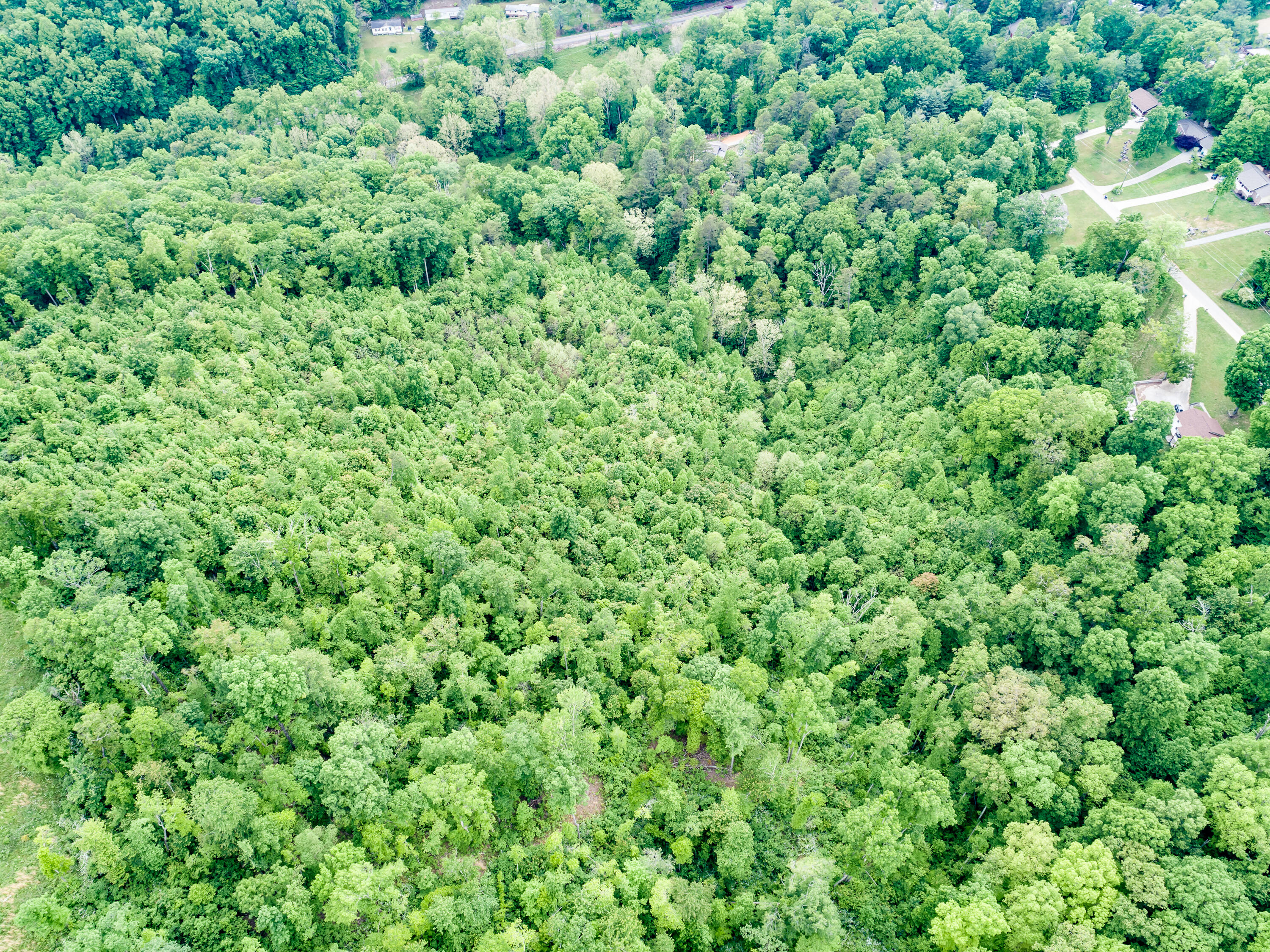 11 & 12 Booker Road Maynardville, TN 37807 - Photo 14 of 25 020210517-3-138BookerRdMaynardvilleTN-SM