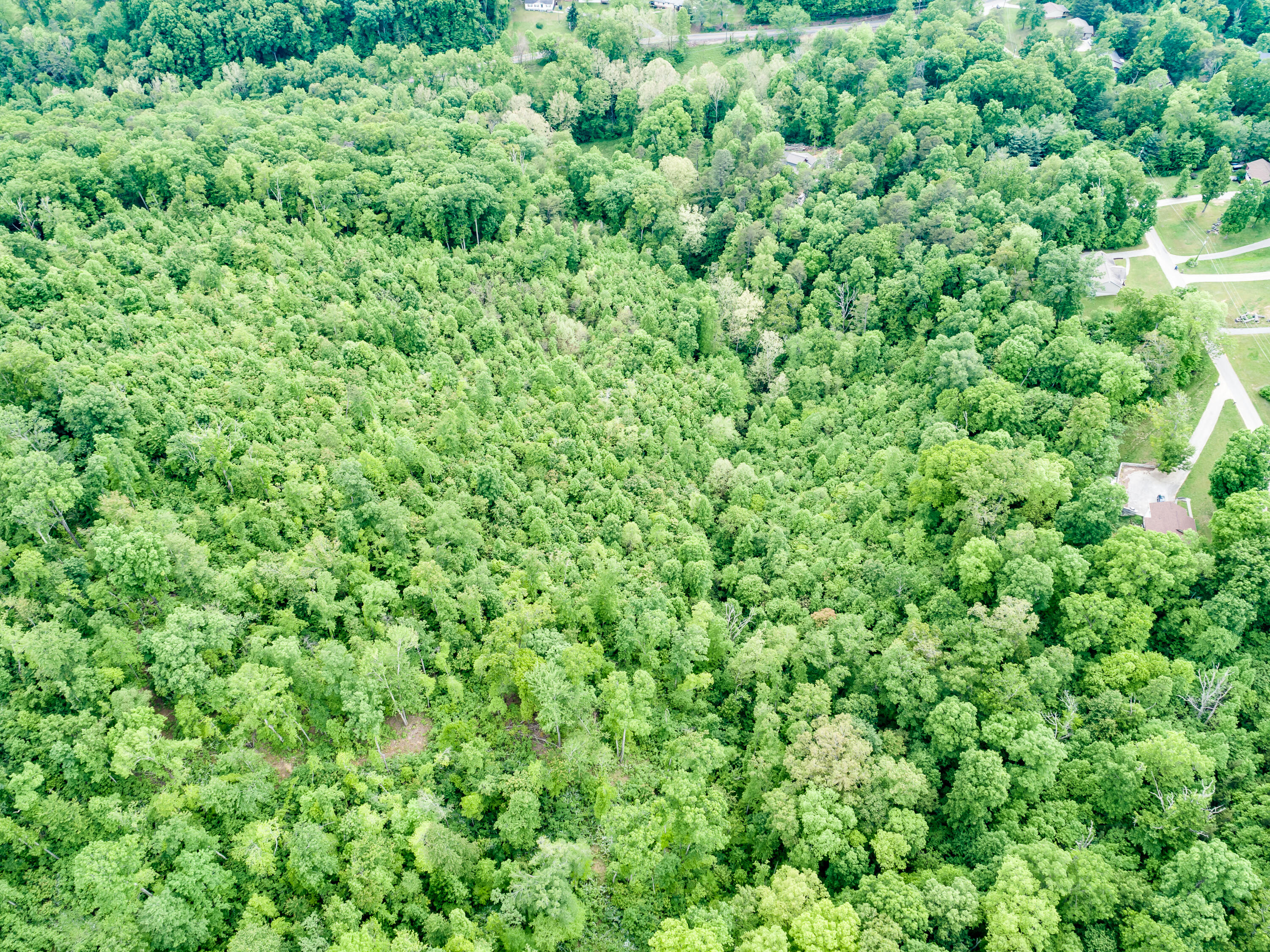 11 & 12 Booker Road Maynardville, TN 37807 - Photo 15 of 25 021210517-3-138BookerRdMaynardvilleTN-SM