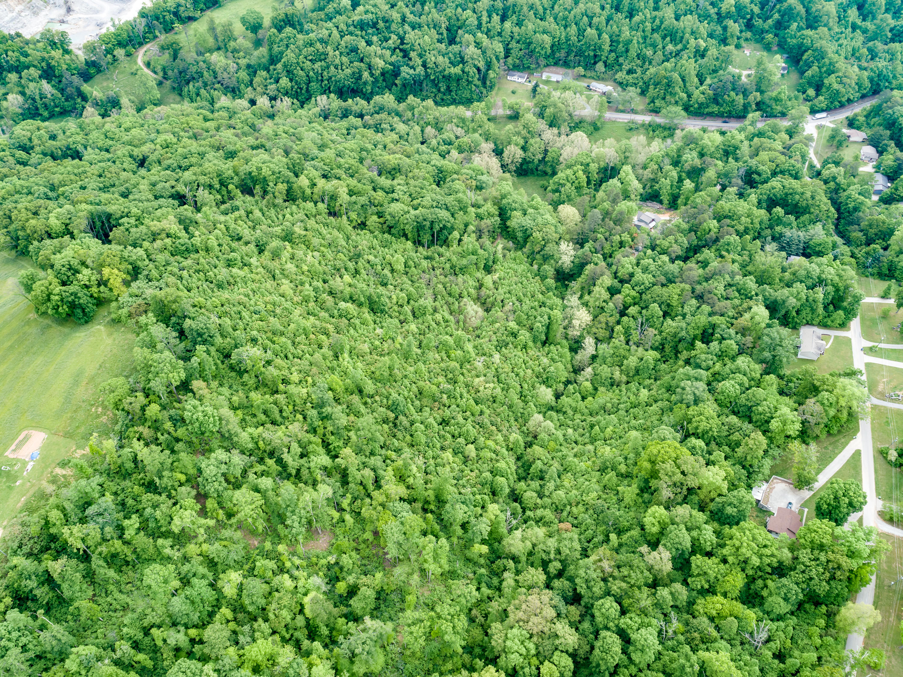 11 & 12 Booker Road Maynardville, TN 37807 - Photo 16 of 25 022210517-3-138BookerRdMaynardvilleTN-SM