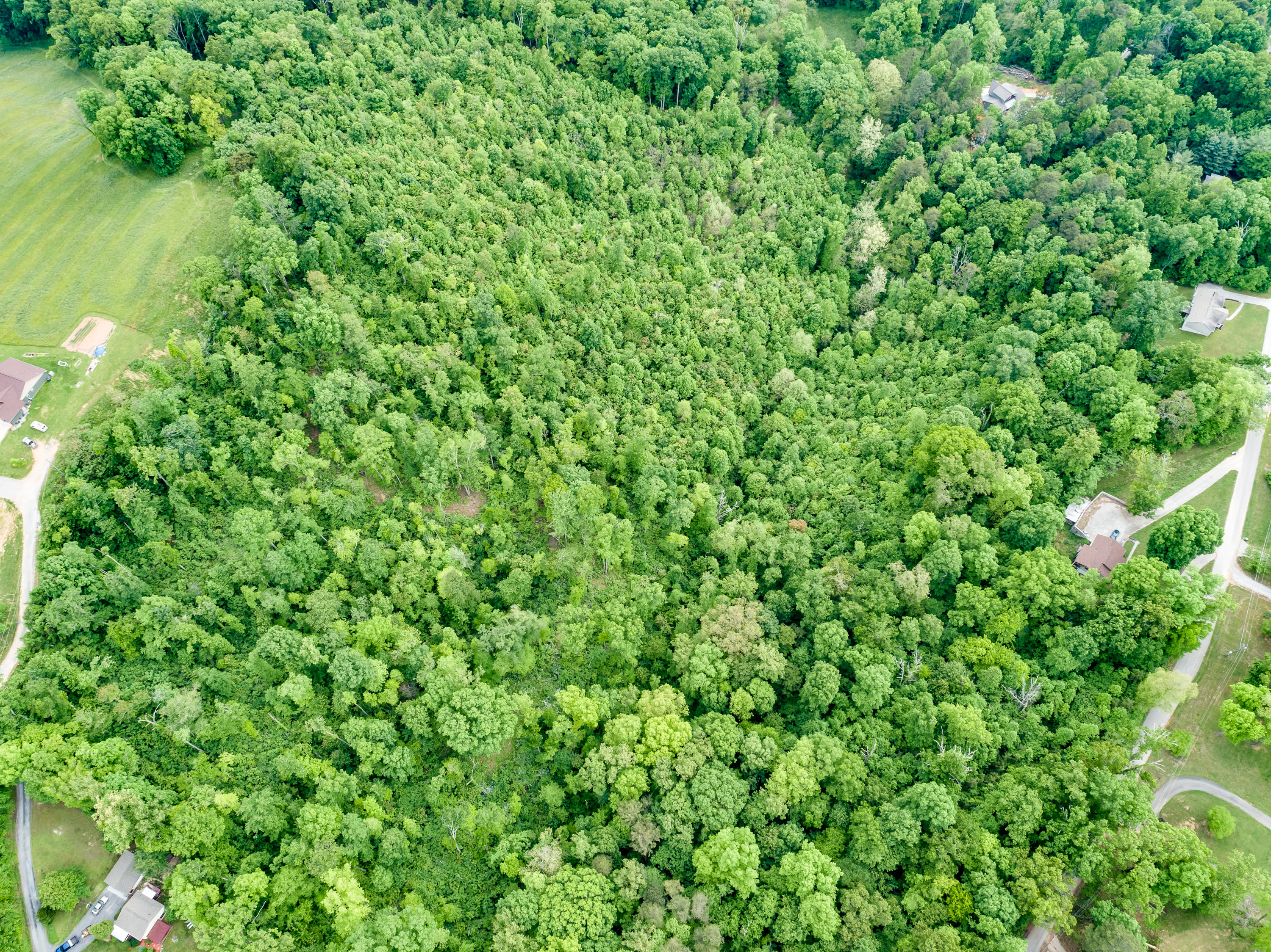 11 & 12 Booker Road Maynardville, TN 37807 - Photo 17 of 25 024210517-3-138BookerRdMaynardvilleTN-SM