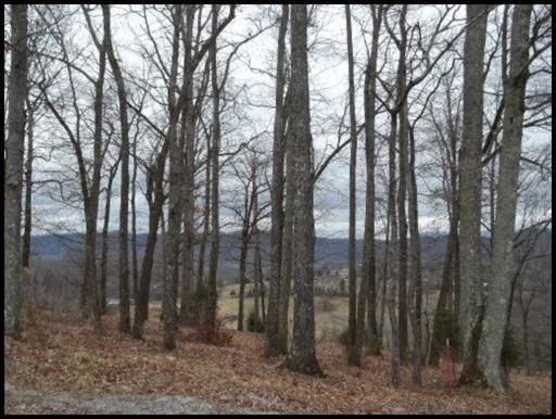 11 & 12 Booker Road Maynardville, TN 37807 - Photo 18 of 25 20150717182306459186000000-o