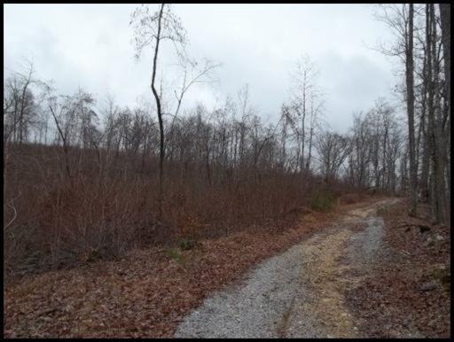 11 & 12 Booker Road Maynardville, TN 37807 - Photo 21 of 25 20150717182306760376000000-o