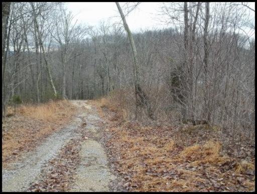 11 & 12 Booker Road Maynardville, TN 37807 - Photo 22 of 25 20150717182306806011000000-o