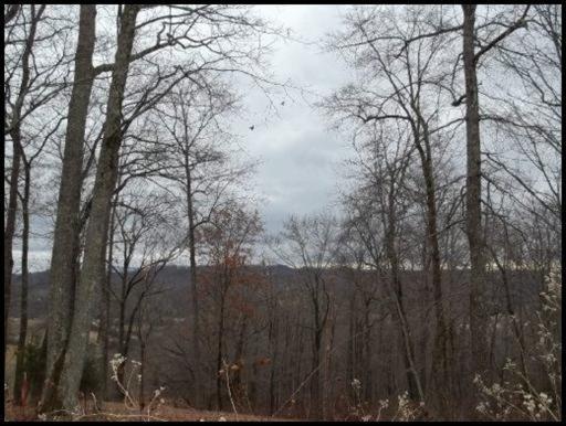 11 & 12 Booker Road Maynardville, TN 37807 - Photo 23 of 25 20150717182307028500000000-o
