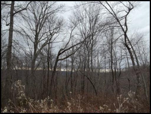 11 & 12 Booker Road Maynardville, TN 37807 - Photo 24 of 25 20150717182307272019000000-o