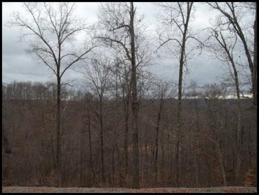 11 & 12 Booker Road Maynardville, TN 37807 - Photo 25 of 25 20150717182308098577000000-o