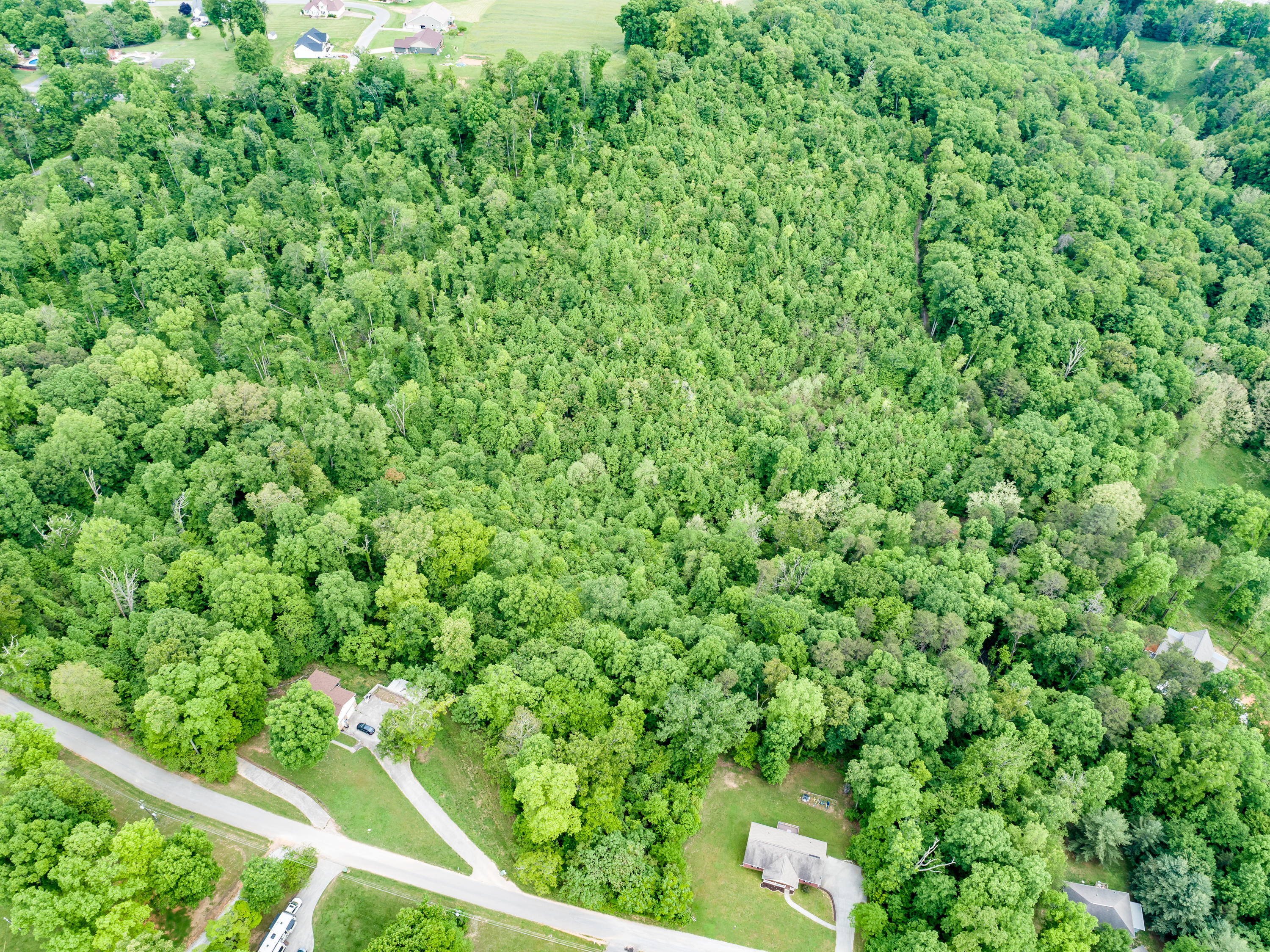 11 & 12 Booker Road Maynardville, TN 37807 - Photo 5 of 25 008210517-3-138BookerRdMaynardvilleTN-SM