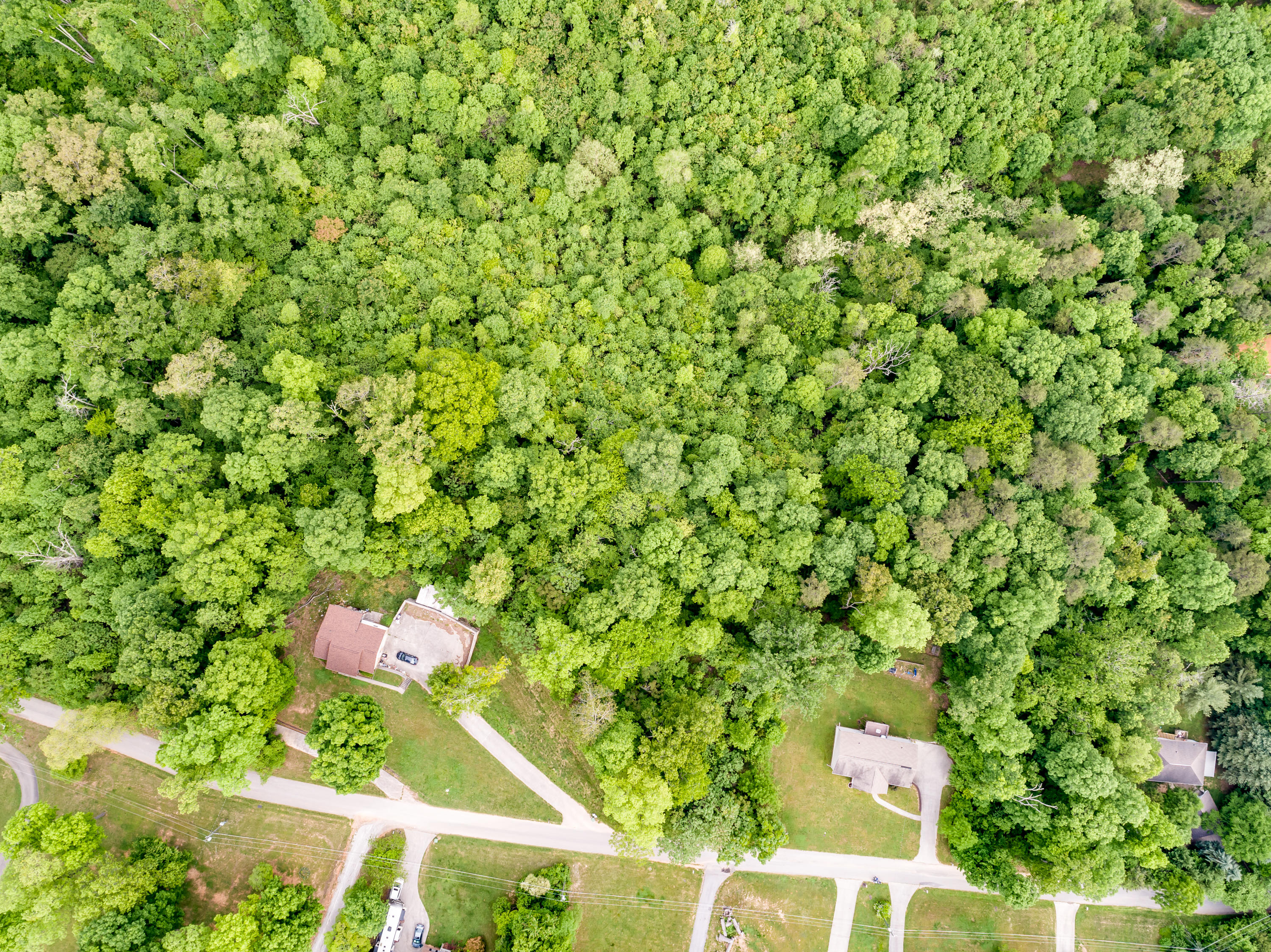 11 & 12 Booker Road Maynardville, TN 37807 - Photo 6 of 25 009210517-3-138BookerRdMaynardvilleTN-SM