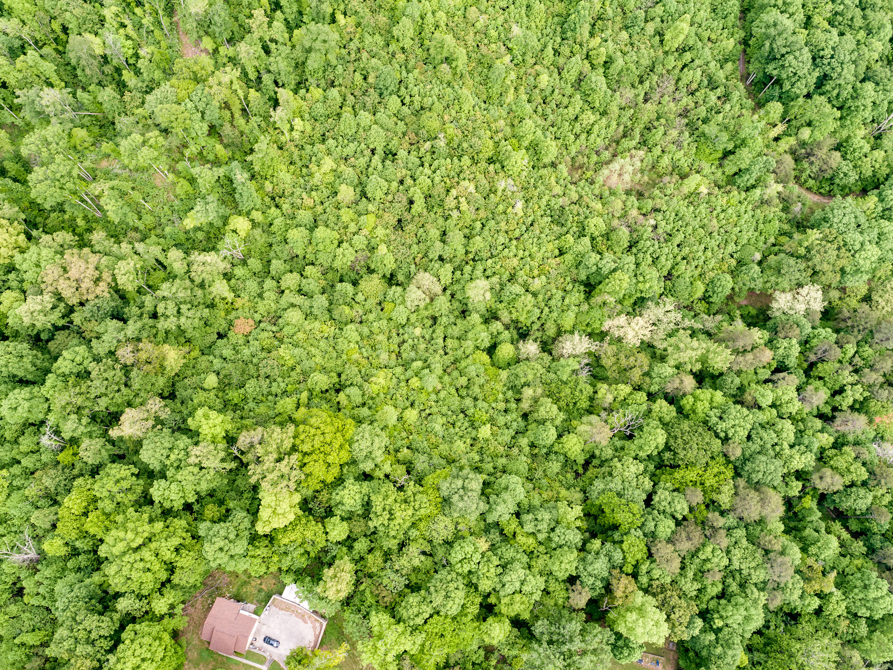 11 & 12 Booker Road Maynardville, TN 37807 - Photo 7 of 25 010210517-3-138BookerRdMaynardvilleTN-SM