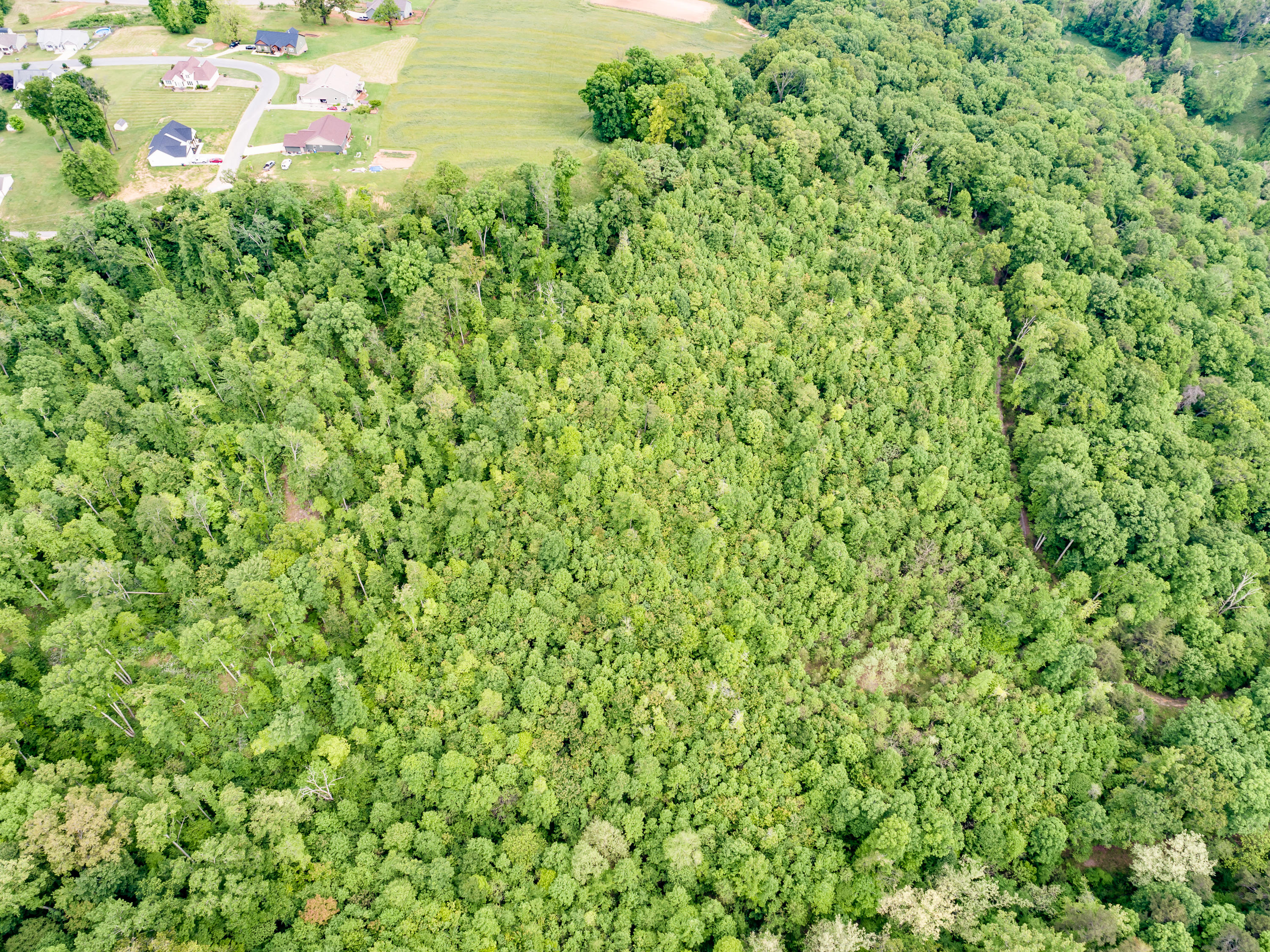 11 & 12 Booker Road Maynardville, TN 37807 - Photo 8 of 25 011210517-3-138BookerRdMaynardvilleTN-SM