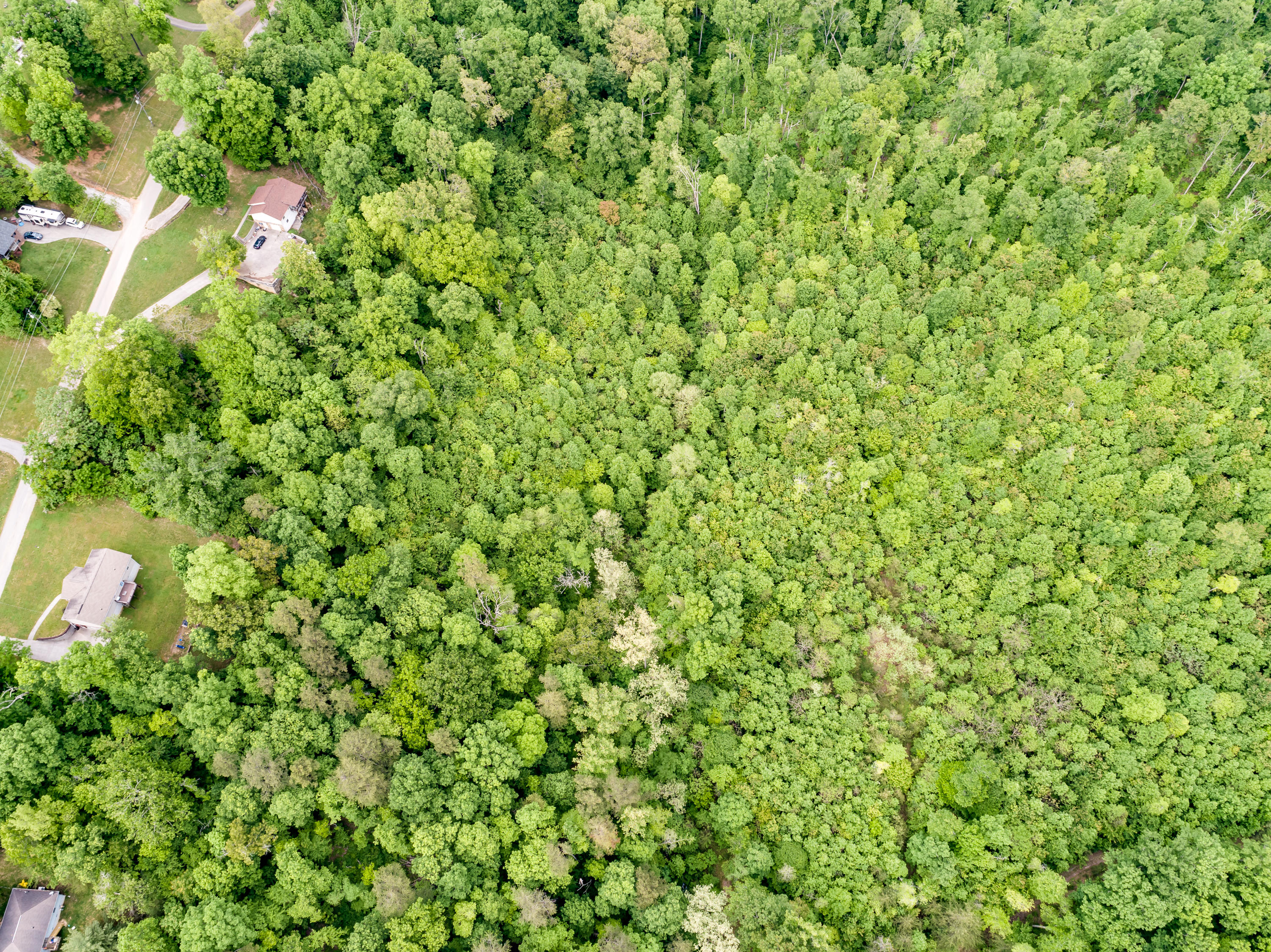 11 & 12 Booker Road Maynardville, TN 37807 - Photo 10 of 25 013210517-3-138BookerRdMaynardvilleTN-SM