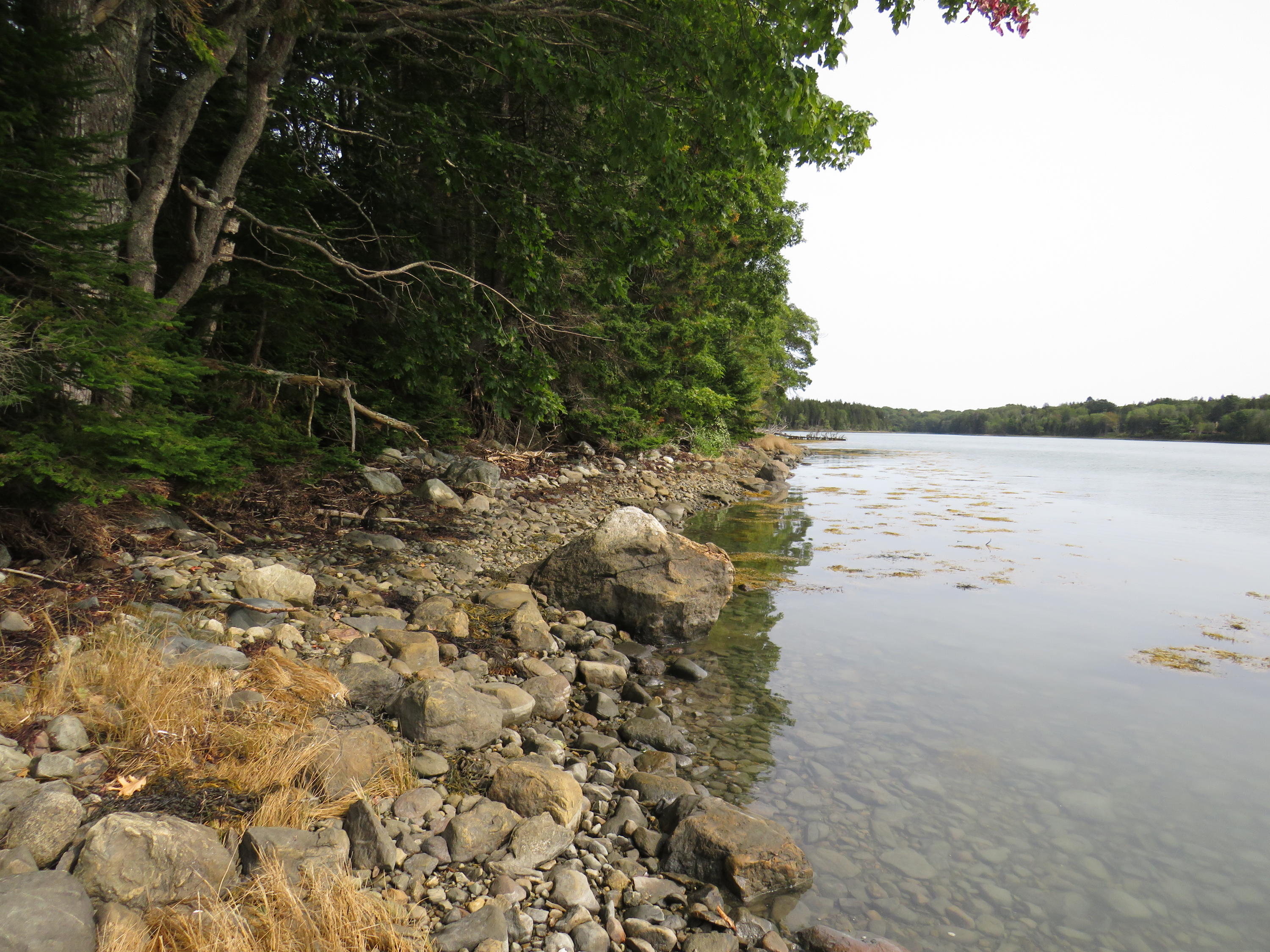 144 Treasure Point Road St. George, ME 04860 - Photo 18 of 19 IMG_8722