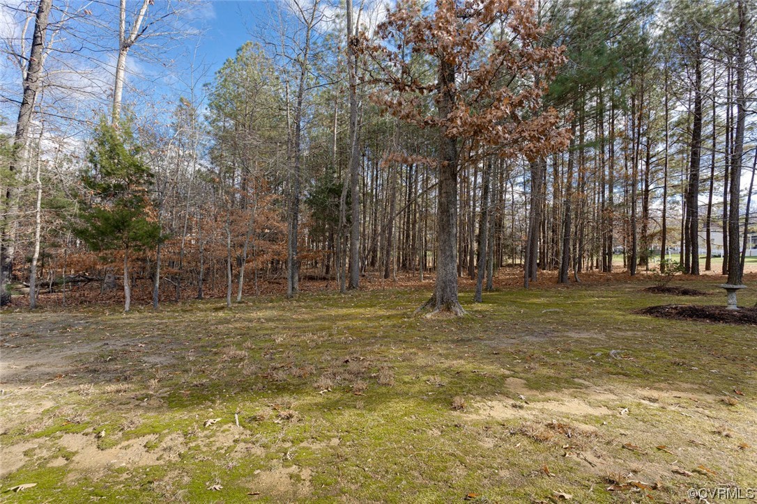 488 Bel Bridge Circle Midlothian, VA 23113 - Photo 38 of 38 a view of a yard with trees
