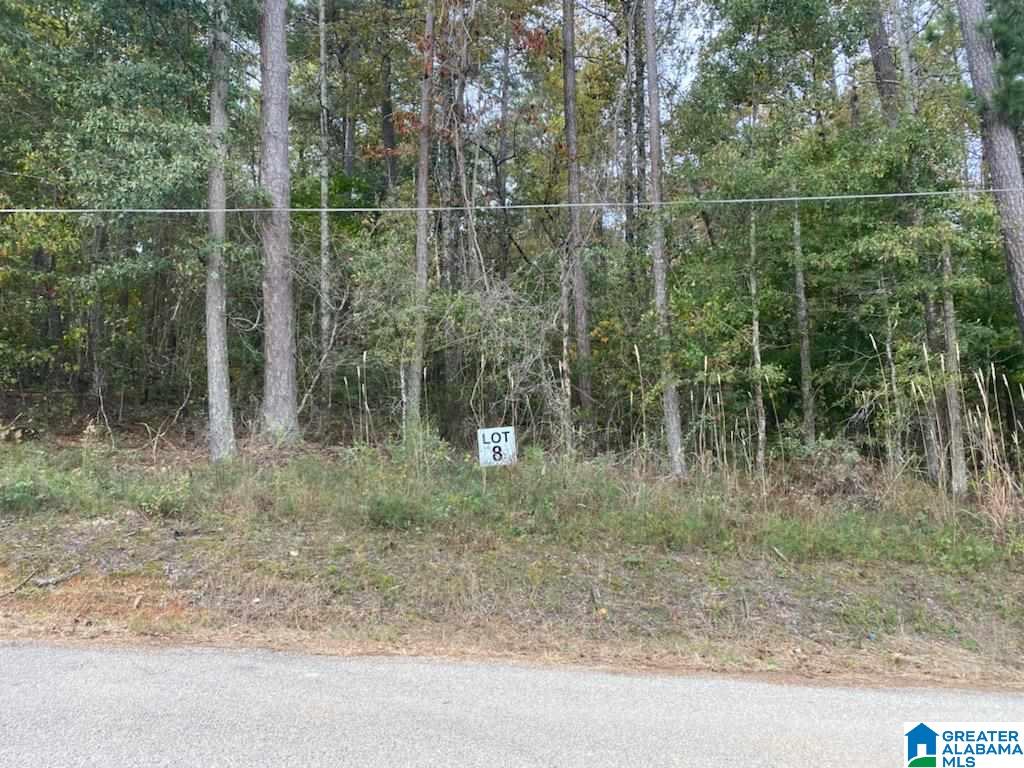 280 Black Acres Road Cropwell, AL 35054 - Photo 8 of 15
