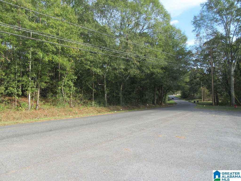 0 Cherry Street, Unit 1 Talladega, AL 35160 - Photo 2 of 10
