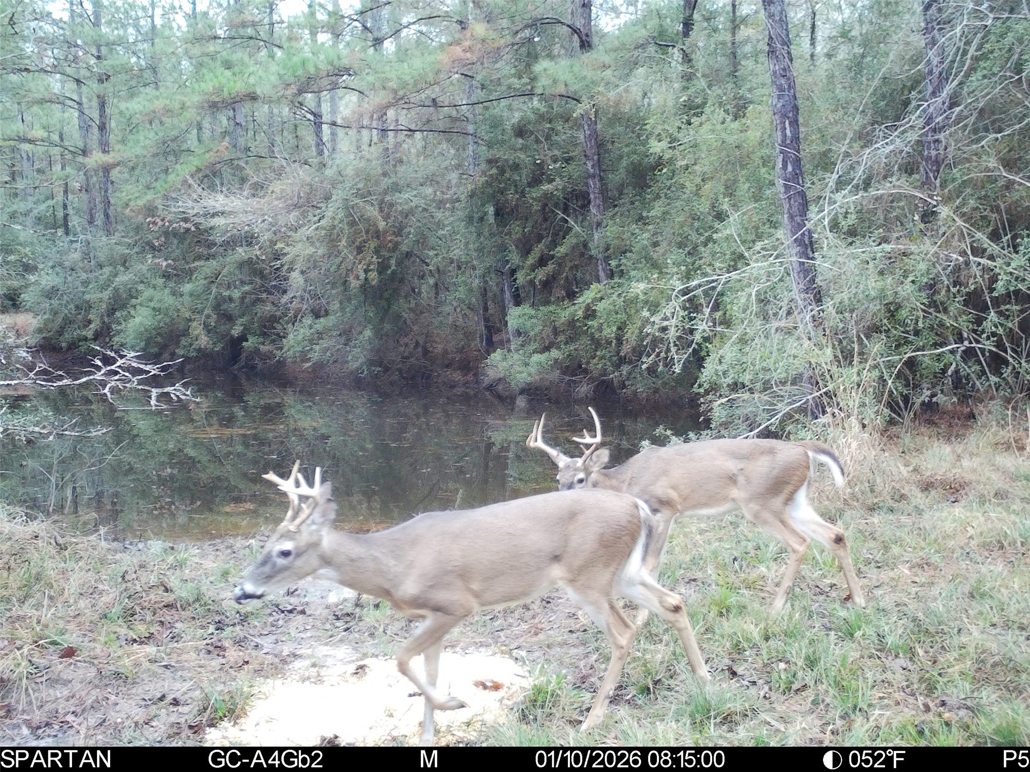 0 Chatfield Road Livingston, TX 77351 - Photo 14 of 28 a view of a wooden floor with a yard