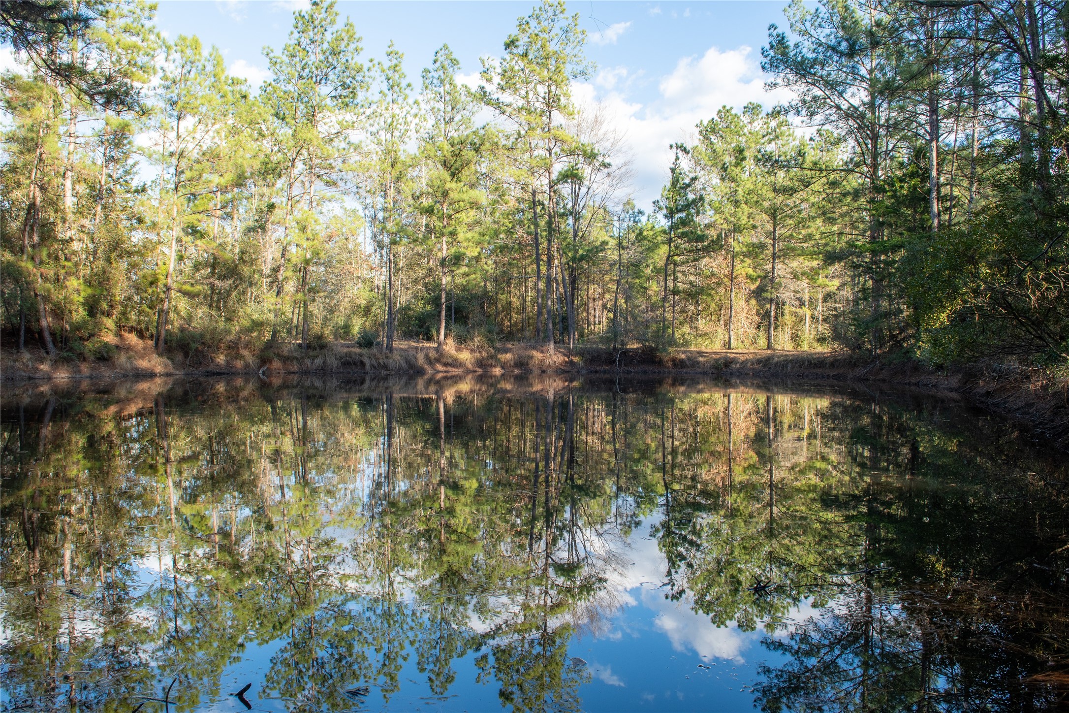 0 Chatfield Road Livingston, TX 77351 - Photo 18 of 28 a view of lake with green space
