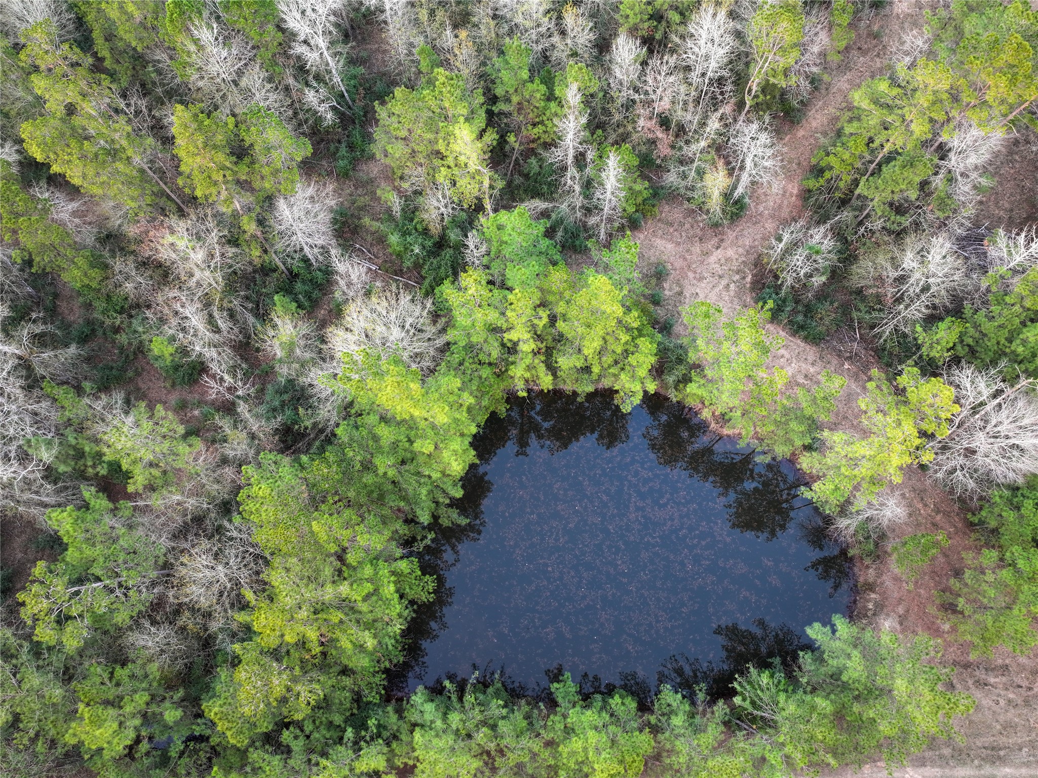0 Chatfield Road Livingston, TX 77351 - Photo 19 of 28 an aerial view of a house with a yard
