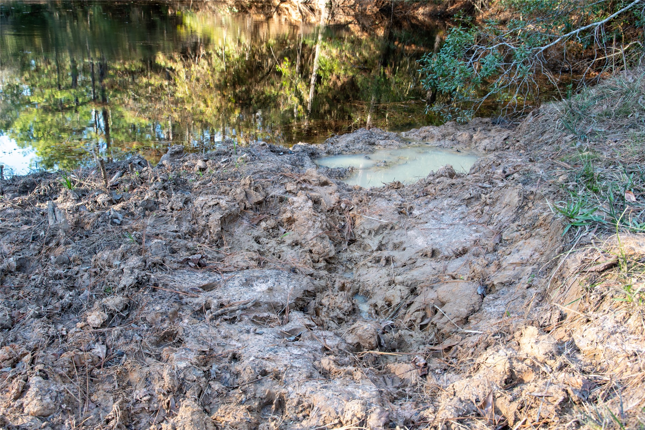 0 Chatfield Road Livingston, TX 77351 - Photo 21 of 28 a view of a yard with a tree