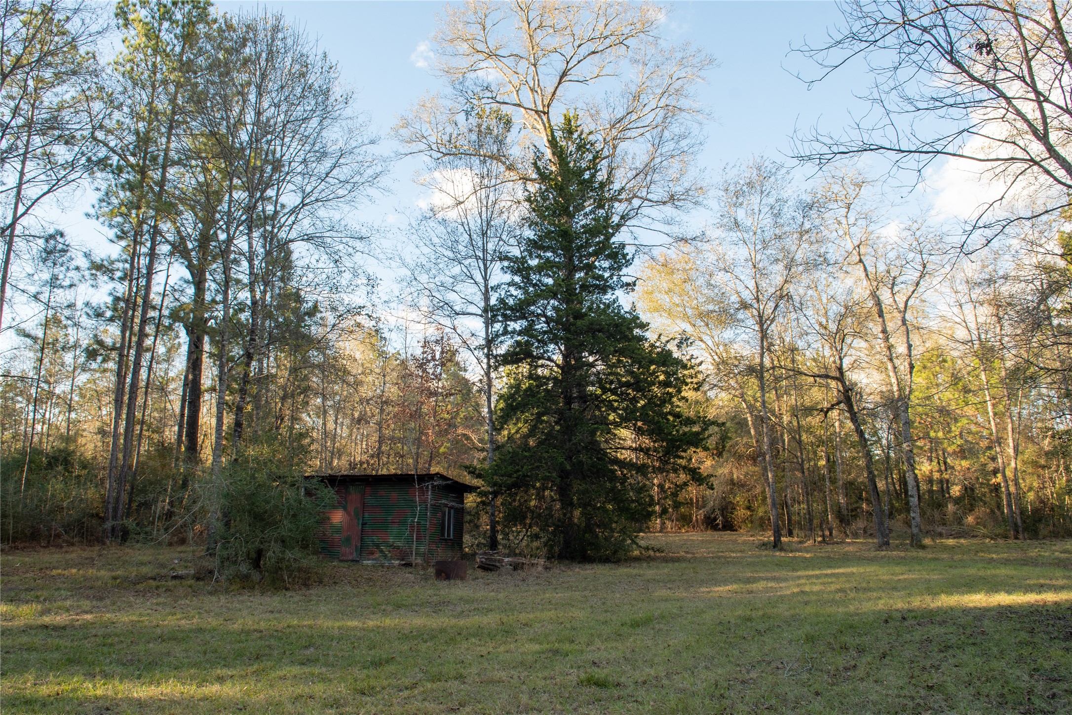 0 Chatfield Road Livingston, TX 77351 - Photo 24 of 28 a view of a house with a yard