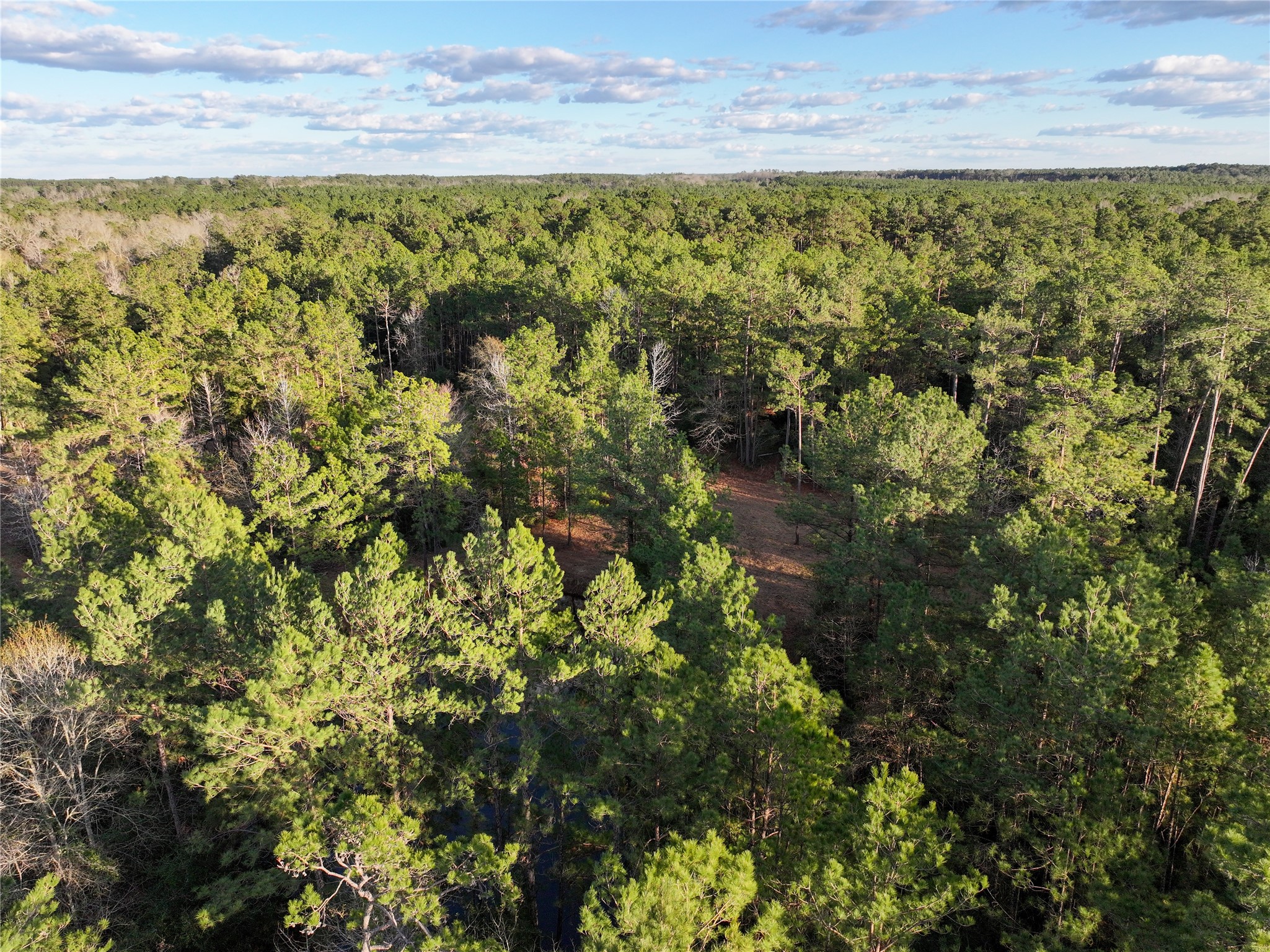 0 Chatfield Road Livingston, TX 77351 - Photo 26 of 28 a view of a yard