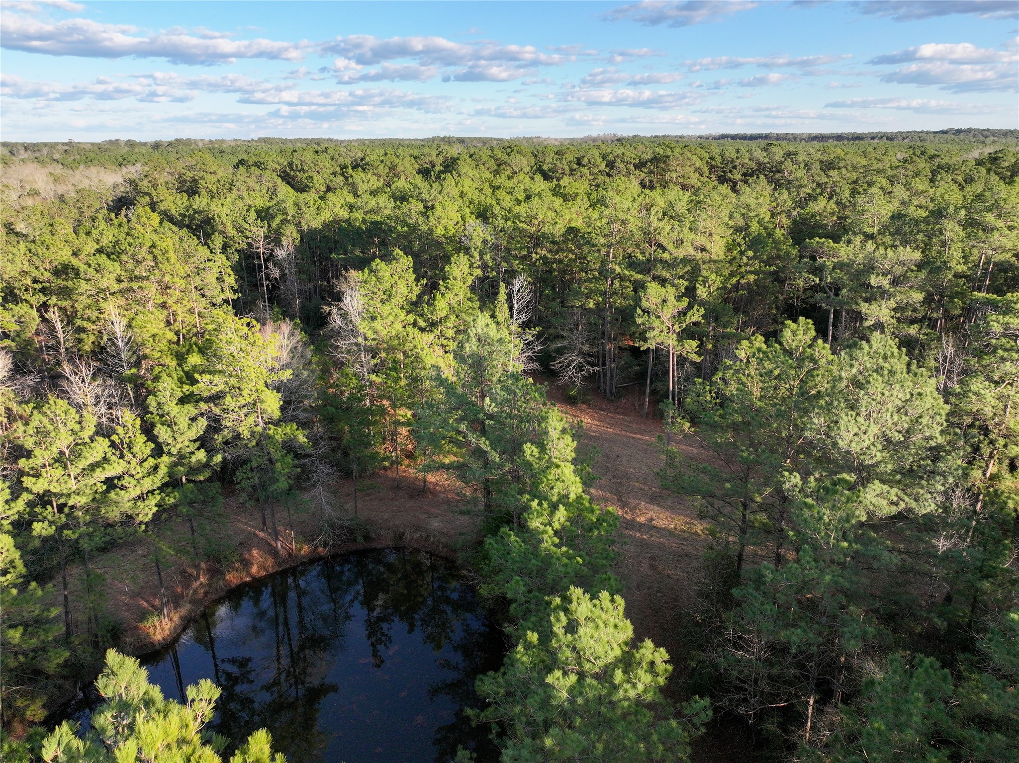 0 Chatfield Road Livingston, TX 77351 - Photo 27 of 28 a view of a yard with plants