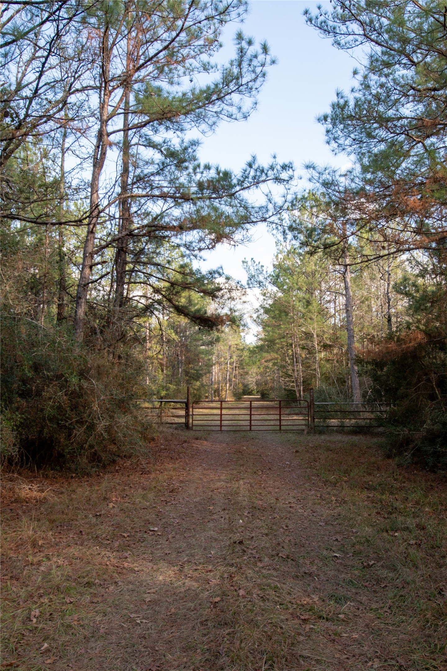 0 Chatfield Road Livingston, TX 77351 - Photo 4 of 28 a view of a yard with wooden fence