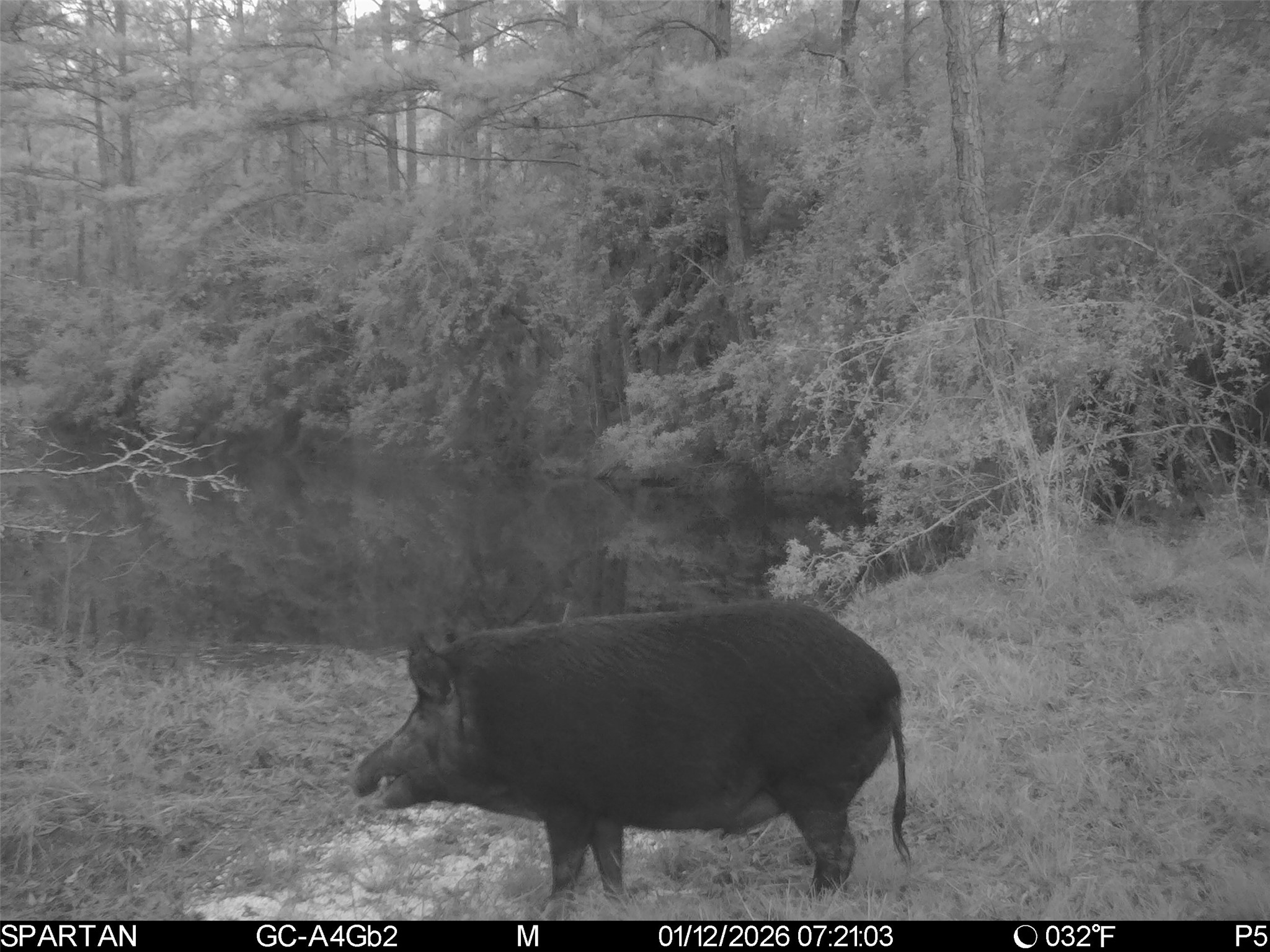 0 Chatfield Road Livingston, TX 77351 - Photo 8 of 28 a close up of a shower