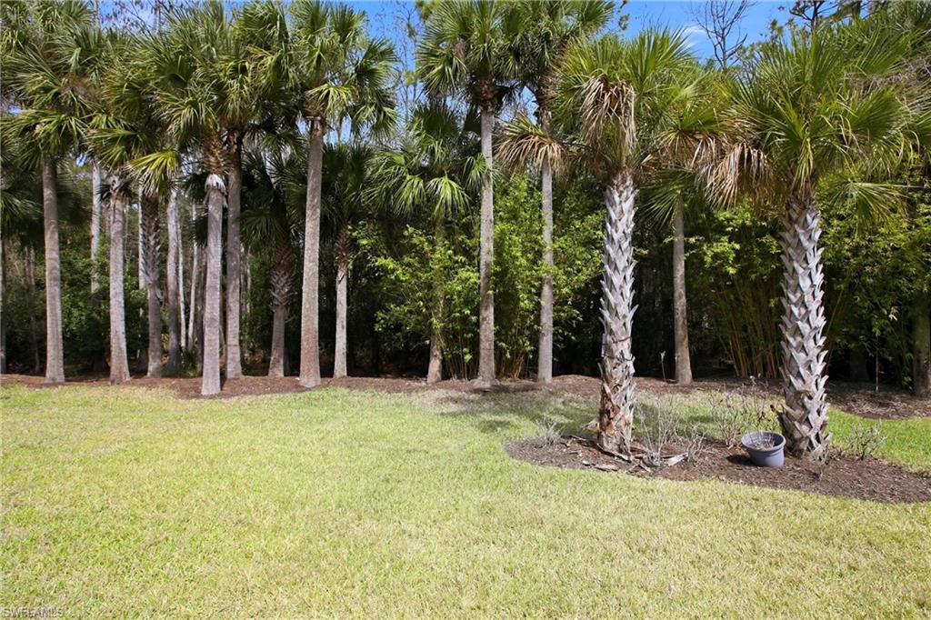11216 Carlingford Road Fort Myers, FL 33913 - Photo 37 of 38 a view of a yard with palm trees
