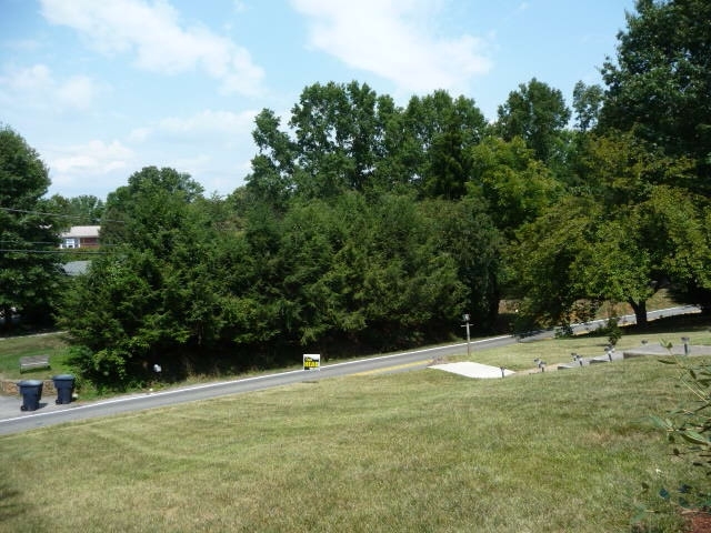 3022 Grandin Road Southwest Roanoke, VA 24018 - Photo 20 of 71 Front Yard