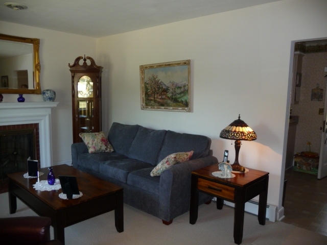 3022 Grandin Road Southwest Roanoke, VA 24018 - Photo 29 of 71 Living Room