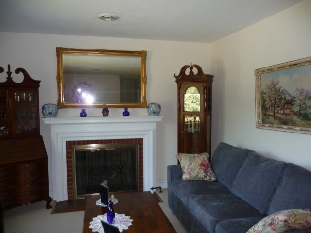 3022 Grandin Road Southwest Roanoke, VA 24018 - Photo 30 of 71 Living Room Fireplace