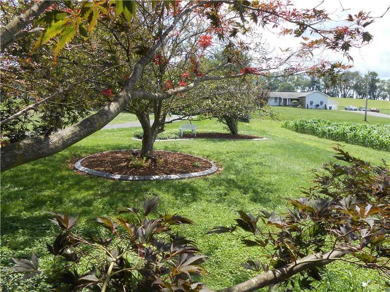 Yard/Garden. 