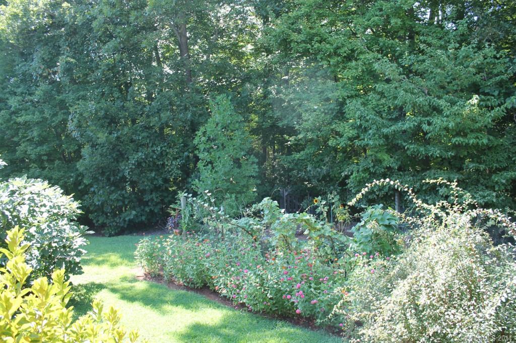 3147 Horseshoe Trail Fort Mill, SC 29708 - Photo 11 of 12 a view of a lush green forest with lawn chairs and plants