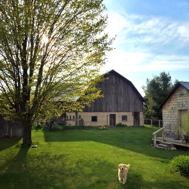 3362 South French Road Cedar, MI 49621 - Photo 72 of 83