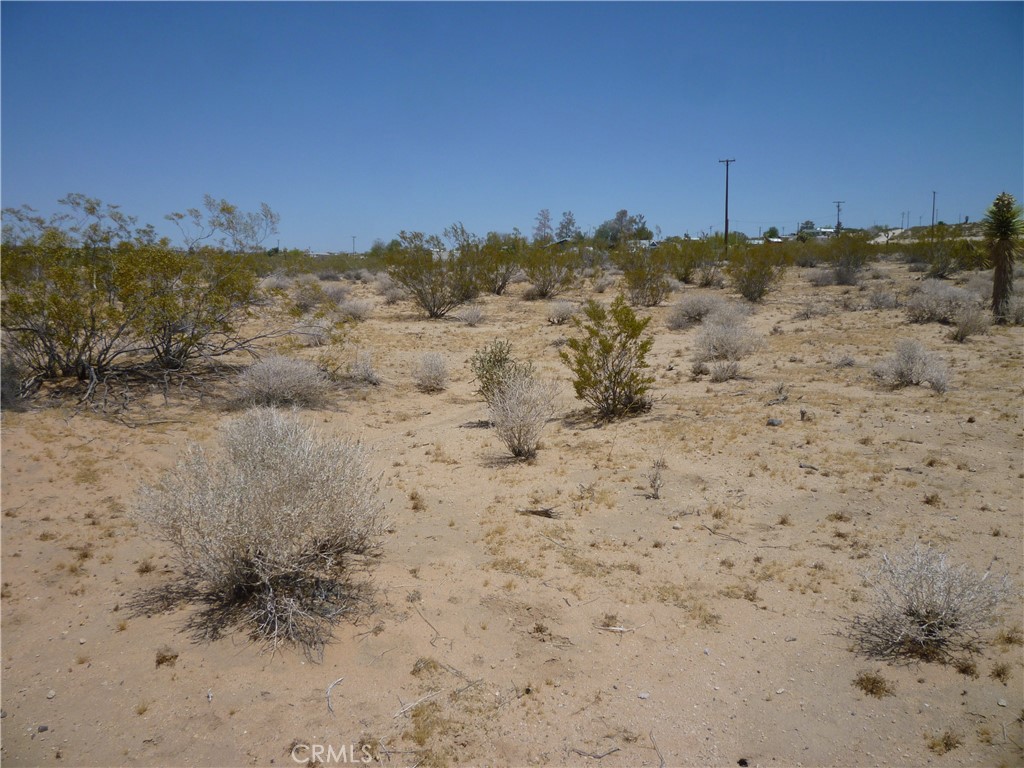 a view of a dry field with trees in the background
