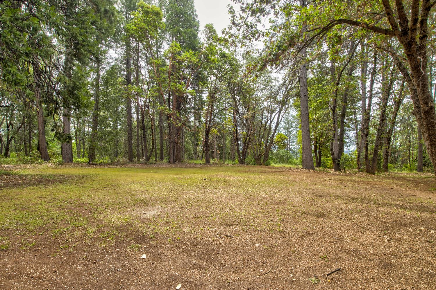 26270 Foresthill Road Foresthill, CA 95631 - Photo 6 of 54