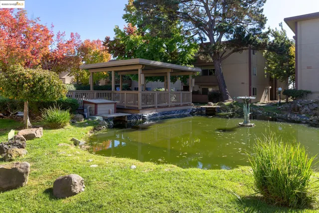 a house with swimming pool