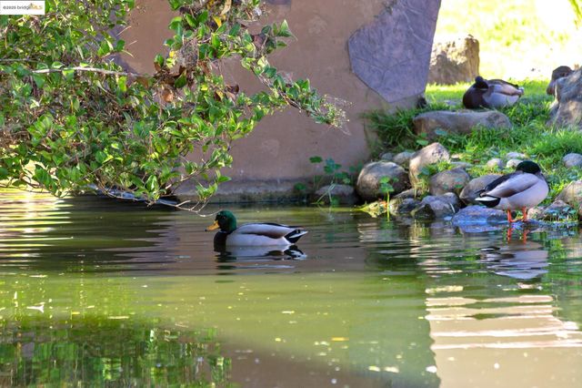 $458,000 | 1311 Webster Street, Unit E316, Alameda, CA 94501