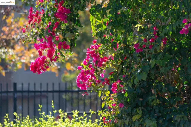 $458,000 | 1311 Webster Street, Unit E316, Alameda, CA 94501