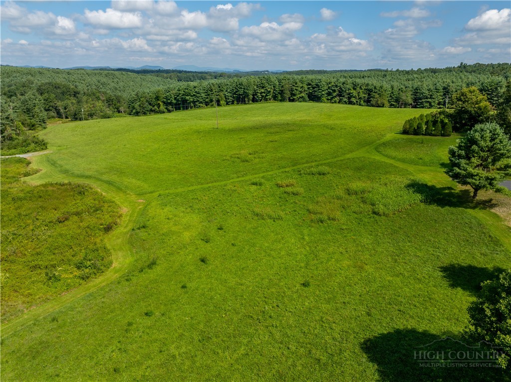 Mountain View Road Glade Valley, NC 28627 - Photo 10 of 19 Gallery Image 10
