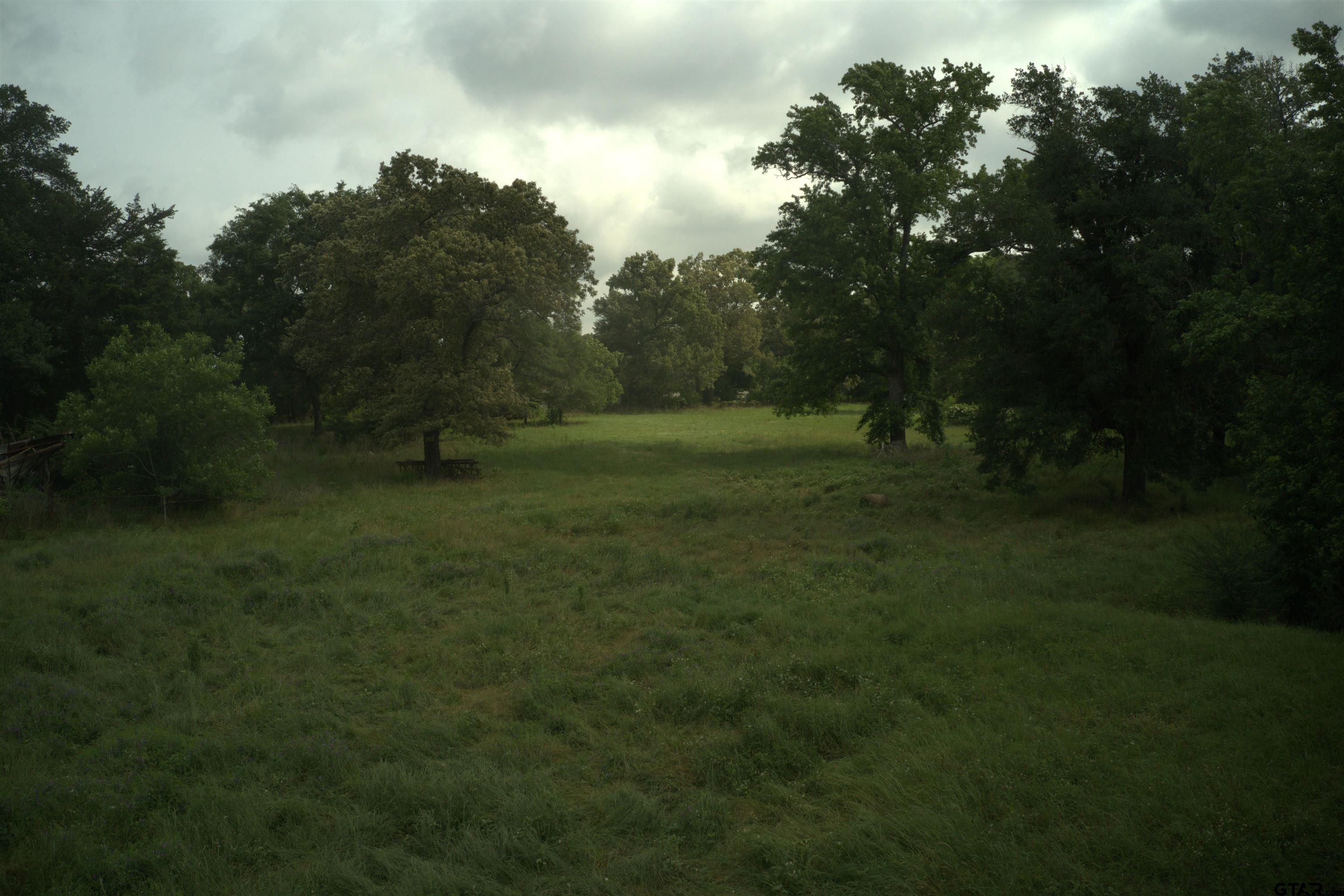14546 Highway 271 Tyler, TX 75708 - Photo 11 of 11
